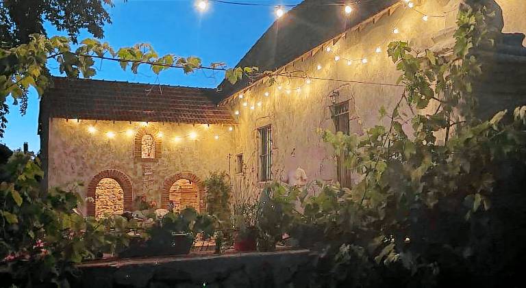 La Vigne et le Chardon — photo 4