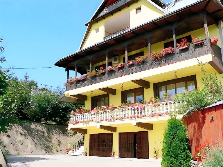 Pension Garofita in Iasi