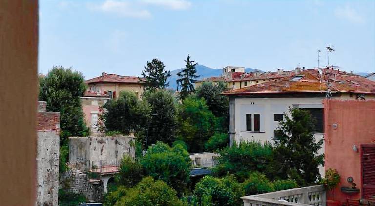 Rental apartment | Next to Santa Maria della Spina | Pets allowed — photo 4