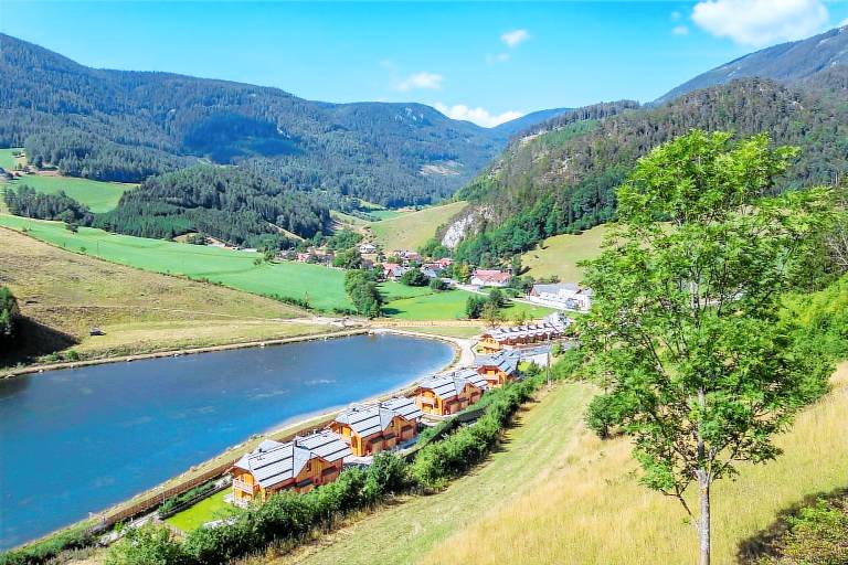 Ferienwohnung Puchberg am Schneeberg