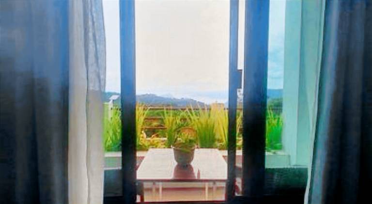 Casa Noah — photo 4