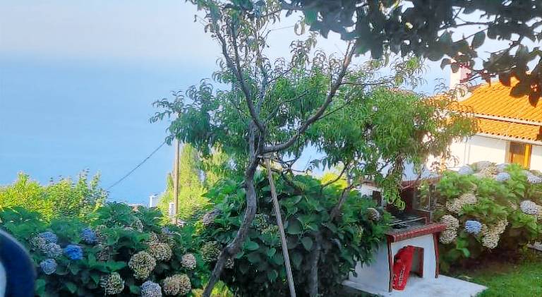 Apartment | Pet-friendly in Zagora-Mouresi