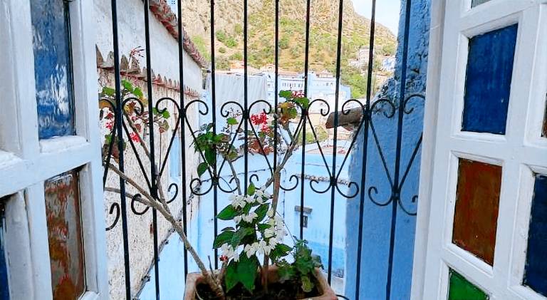 Vacation home | Dogs allowed — photo 5