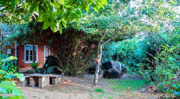 Pidurangala Hostel — photo 4