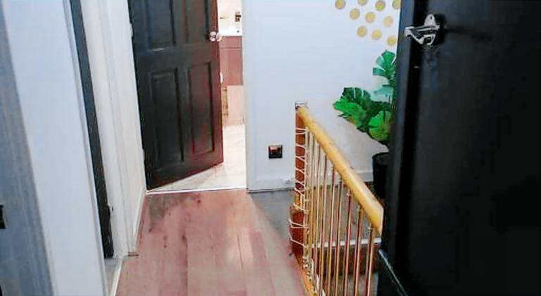 foto1