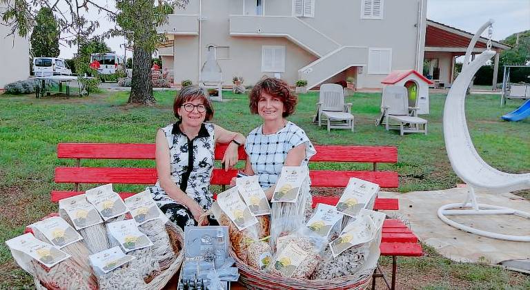 Farm with garden & BBQ in Bibbona