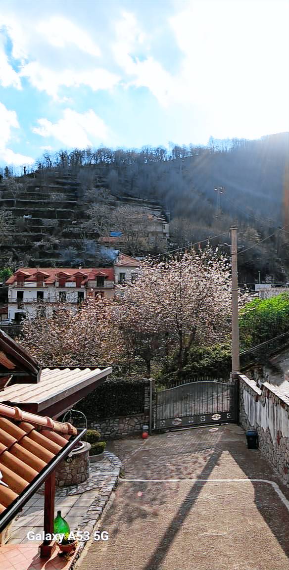 foto4