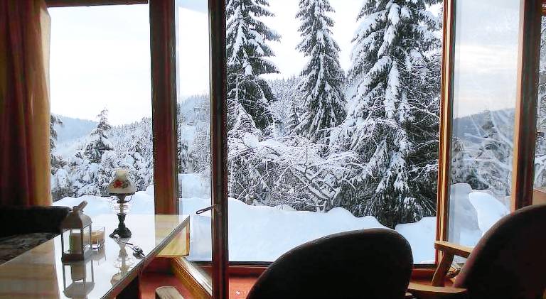 Lodge with yard in Jachymov