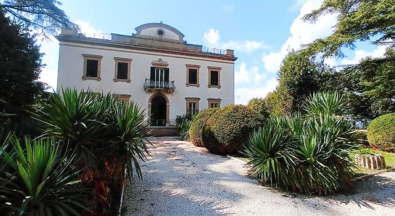 Villa Donna Anna — photo 5
