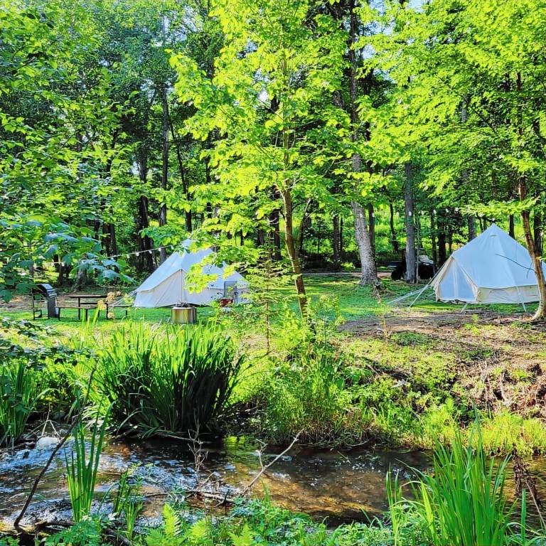 Resort  Saint Croix Falls