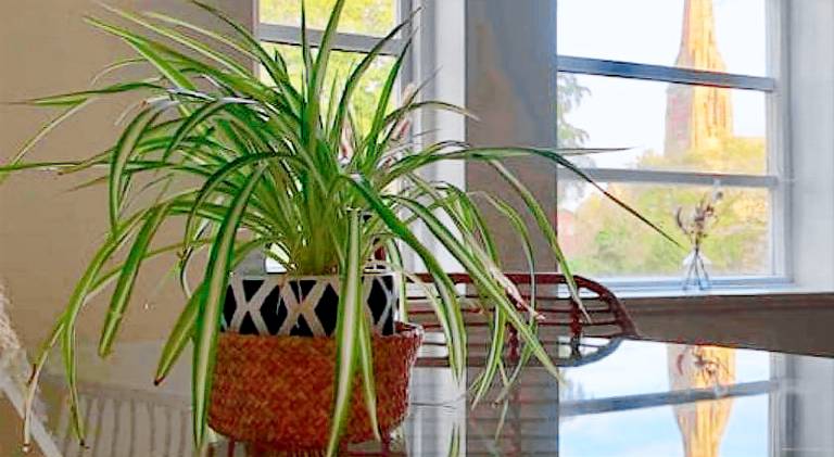 Apartment | Pet-friendly — photo 5