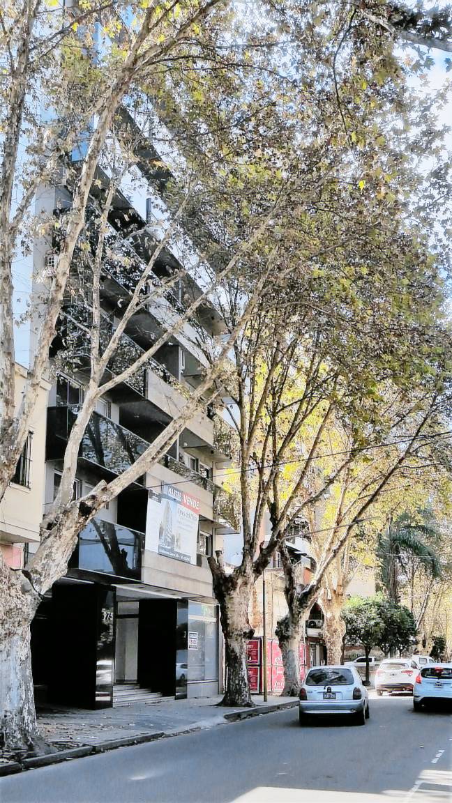 Apartment San Miguel de Tucumán