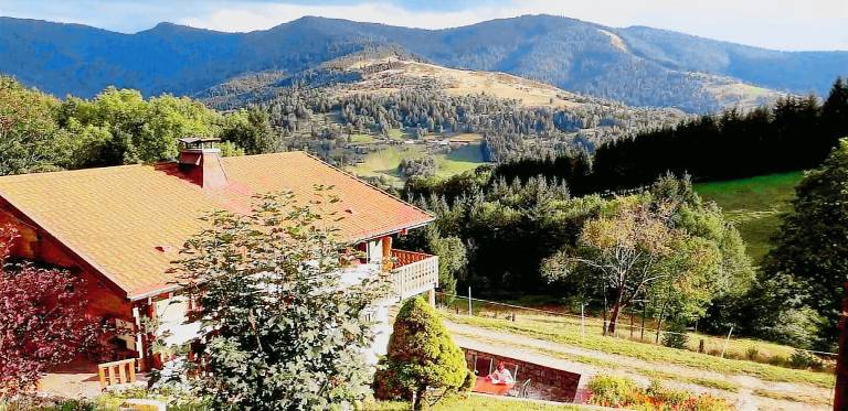 Chalet Fresse-sur-Moselle