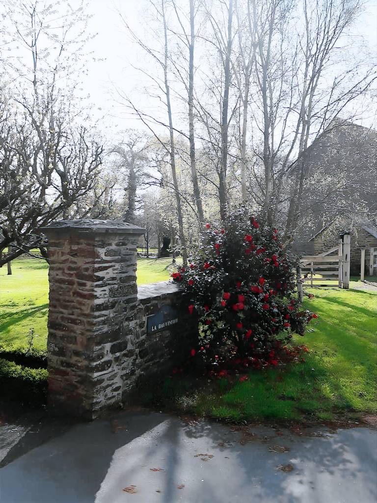 Children-friendly house with garden, terrace & fast internet | Dogs allowed — photo 4