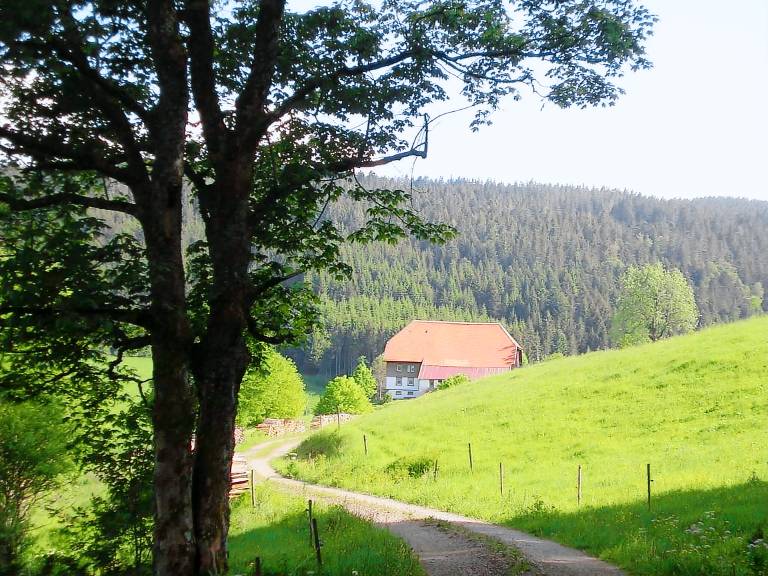 Ferienwohnung Breitnau