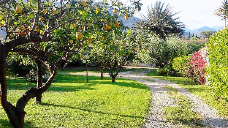 Child-friendly holiday apartment with garden & BBQ | Garden view | Close to the beach | Pets allowed — photo 5