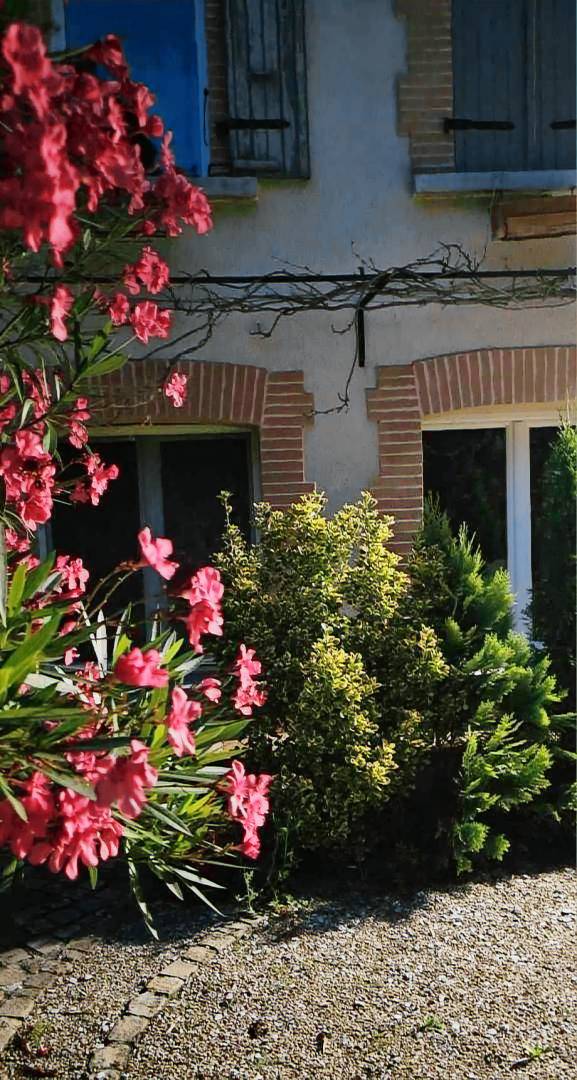 Fully equipped gite with private pool, terrace & grill | Dogs allowed — photo 3