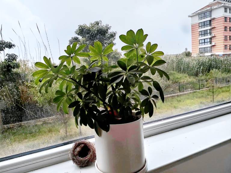Rental apartment | Suitable for remote work — photo 5