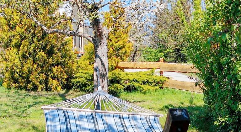 Nice rental apartment with garden | Pet-friendly — photo 3