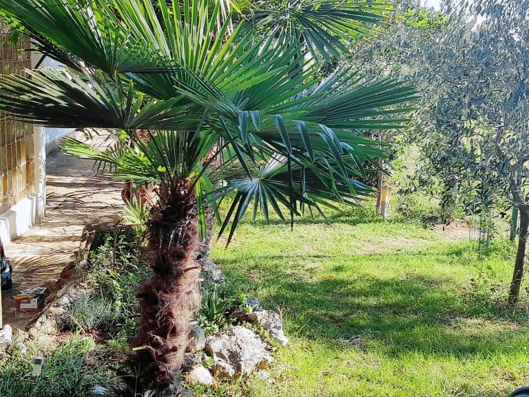 Vacation home with barbecue, patio & yard — photo 5