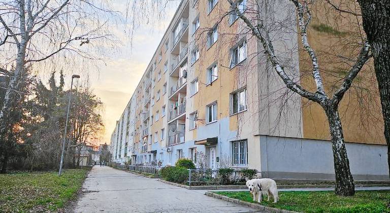 Holiday apartment with 2 rooms for 5 persons — photo 5