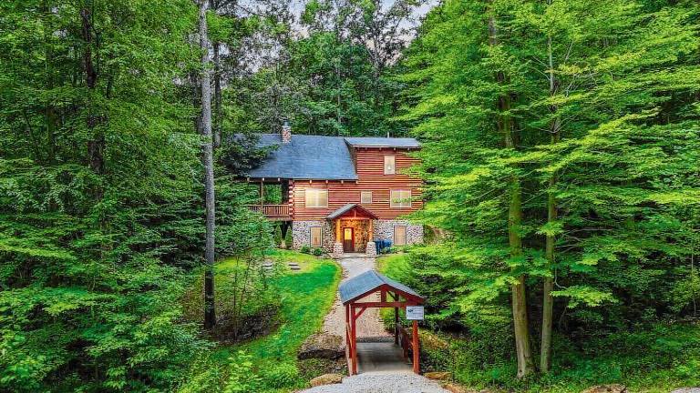 Cabin Marion Township