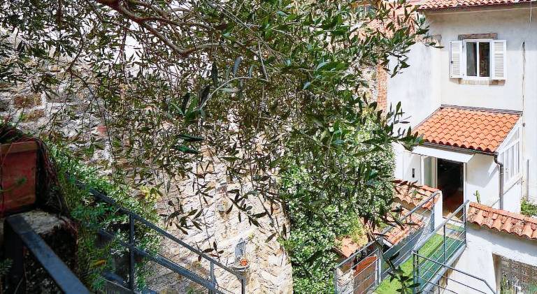 Rental apartment | Dogs allowed — photo 4