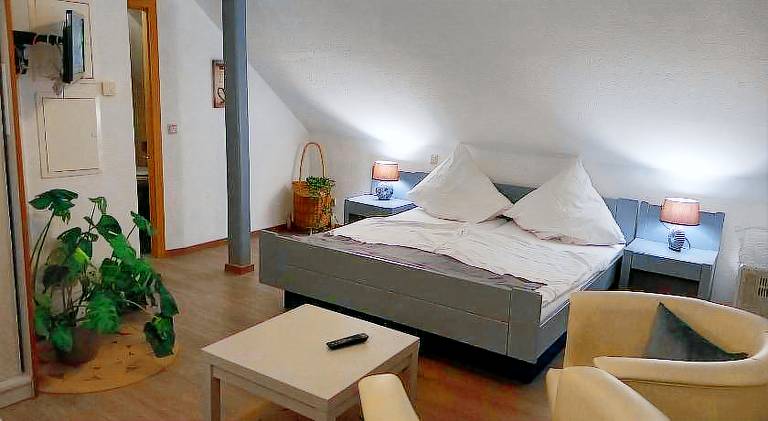 Serviced apartment with 2 rooms for 4 persons in Bernkastel-Kues