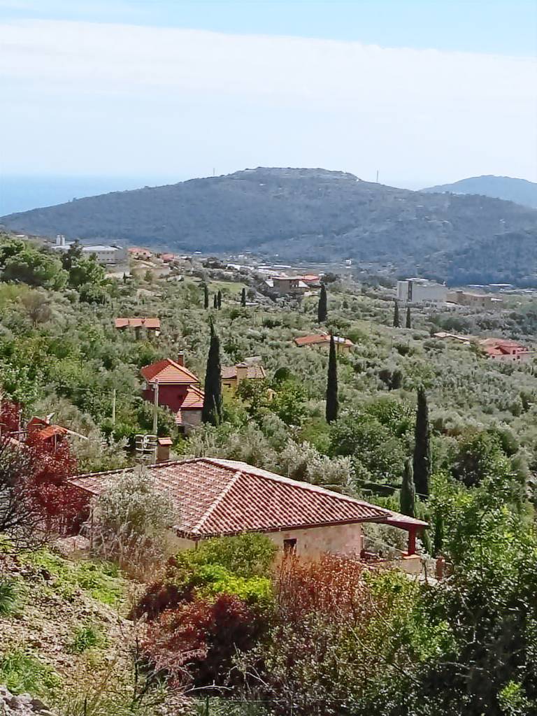 foto1