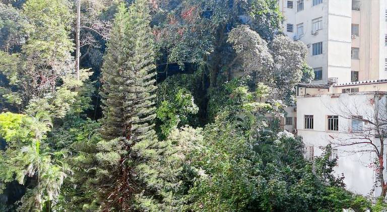 Nice apartment | Near Fort Copacabana | Beach nearby | Pets are welcome — photo 4