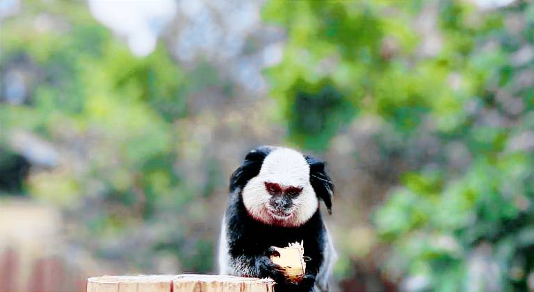 House with pool in Porto Seguro