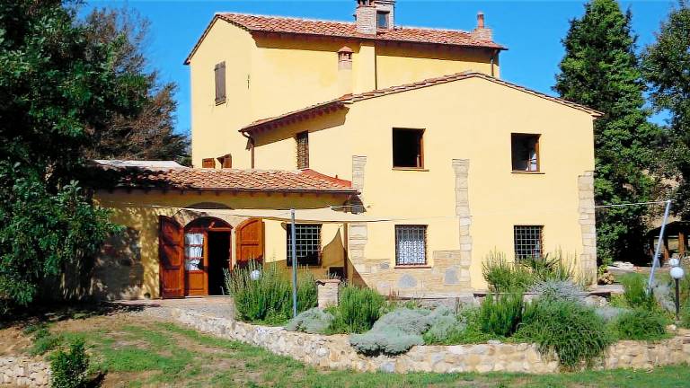 Ferienhaus mit Garten und Grill | Hunde erlaubt