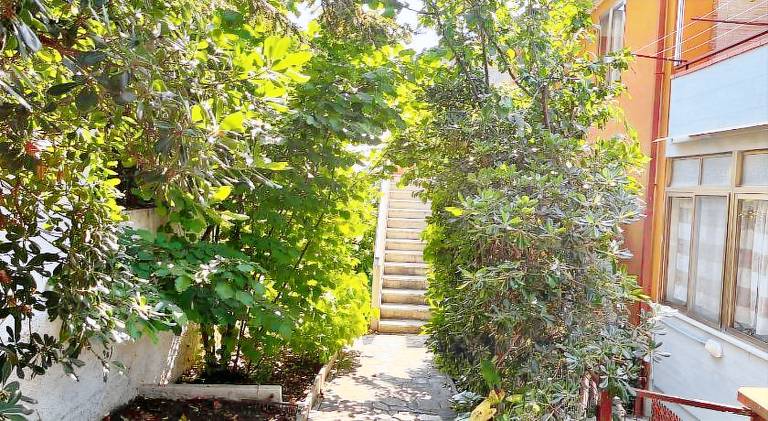 House | Dogs allowed in Piombino
