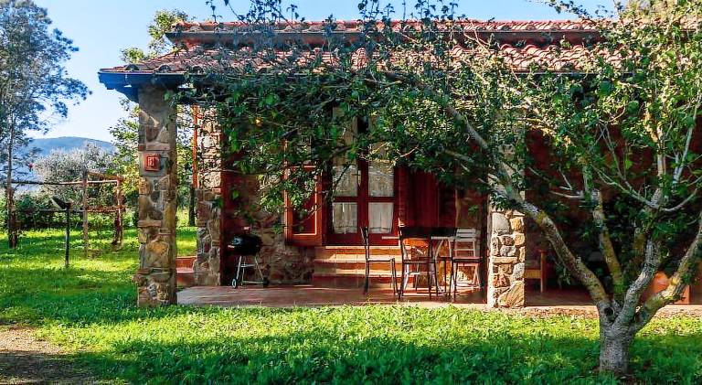 Farm with BBQ, garden & patio | Pets are welcome — photo 4