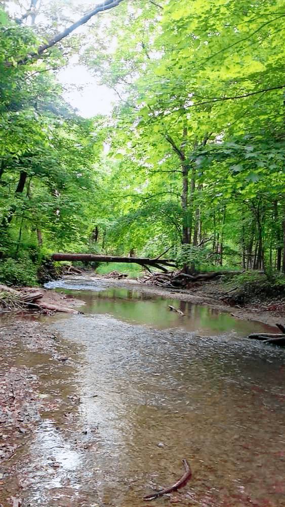 House  Matthiessen State Park