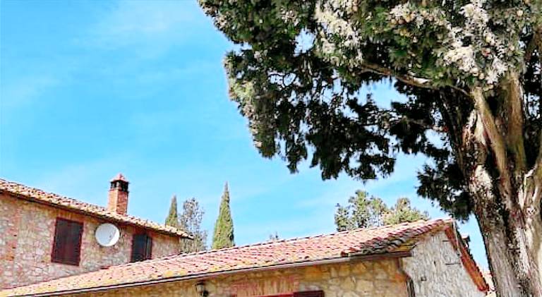 House | Pets are welcome in Castelnuovo Berardenga