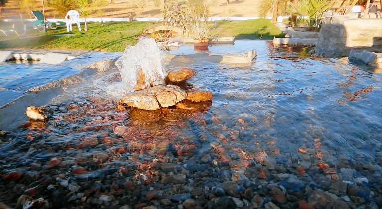 Farm with grill, pool & garden — photo 4