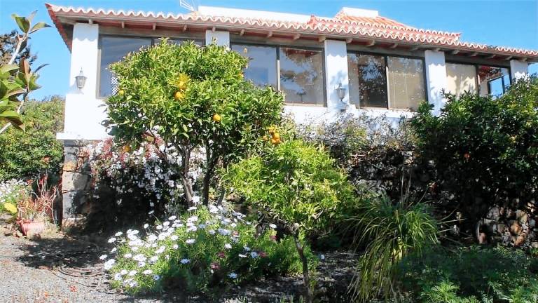 Ferienhaus  Tazacorte