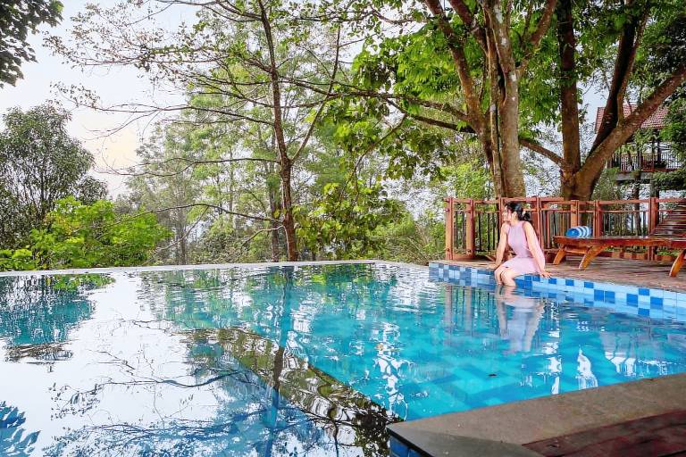 Vythiri Mist Resort — photo 3