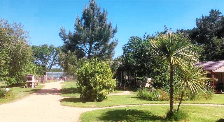 Pleasant house with garden & barbecue | Pets are welcome in Perros-Guirec
