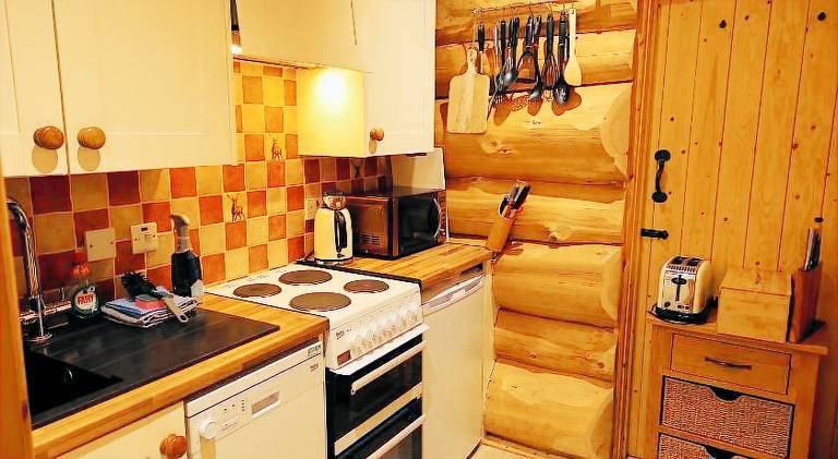 Lodge with yard, hot tub & grill — photo 4