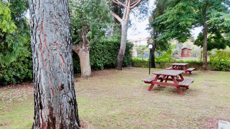 Rental apartment | Garden view — photo 3