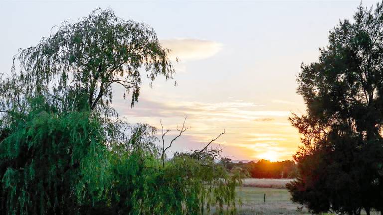 Apartment South Tamworth