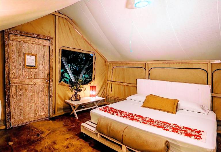 Outstanding Safari Tent Nestled Amidst Trees and Swimming Pool Provided in Jalcomulco, Veracruz — photo 4
