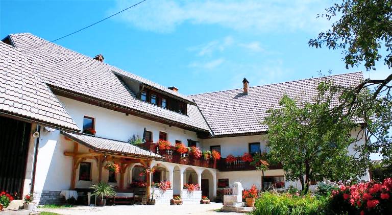 Apartament  Brod