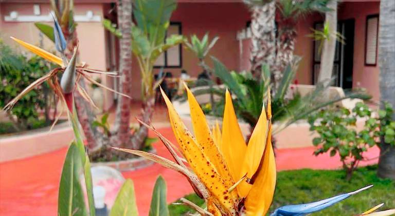 Holiday apartment with garden & grill in Tropea