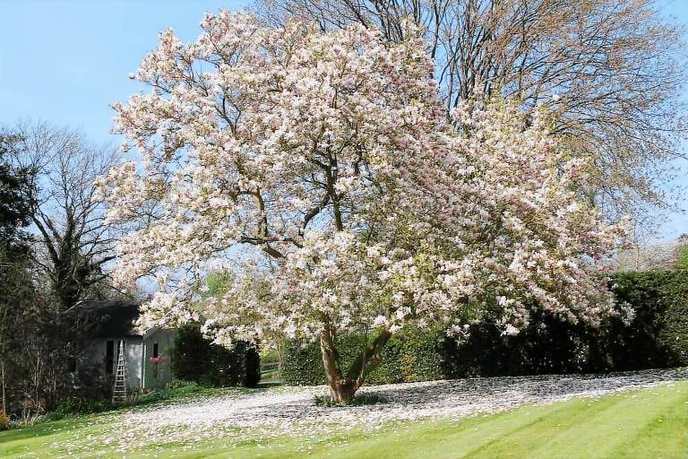 Bed and breakfast  Andoversford