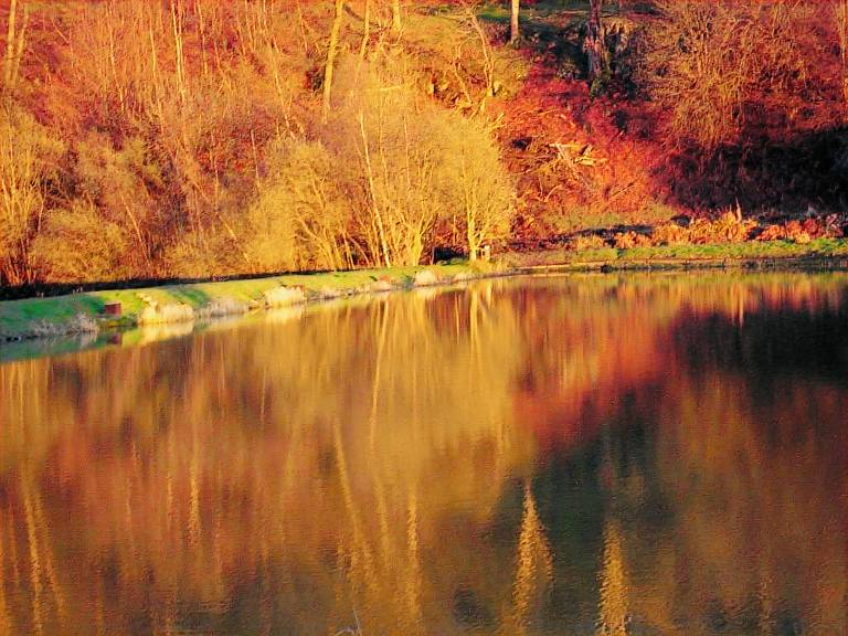 Cottage West Lothian