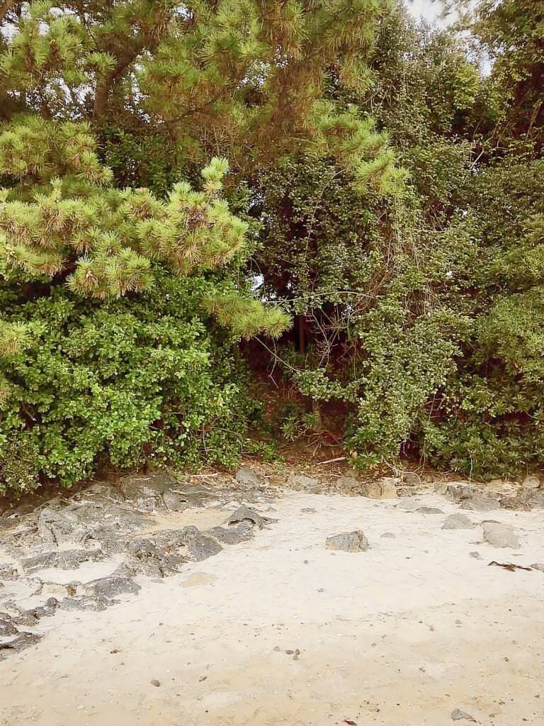 foto21