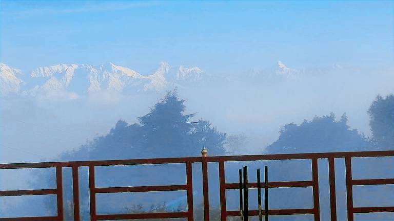 House Almora